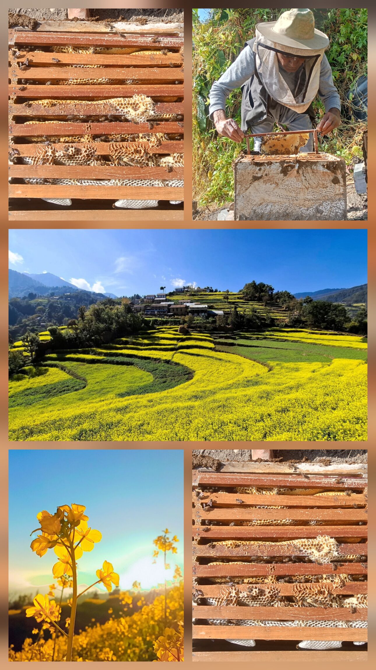 तोरिबारीको सौन्दर्य र मौरीपालनको सम्भावनामा चम्किएको बेथानचोक