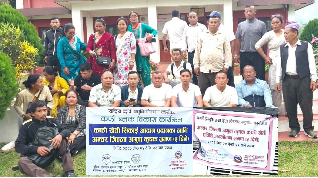 कफी खेतीको भविष्य खोज्दै काभ्रेका कृषक गुल्मीमा